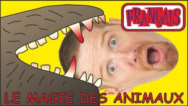 Video Magie des Animaux | Histoires en Français pour les Enfants | Français avec Steve and Maggie Français em Portuguese