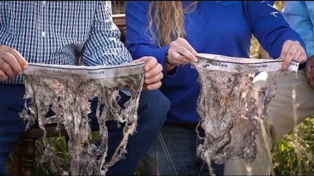 Video What Our Underwear Have to Tell Us em Portuguese