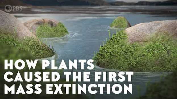 Видео How Plants Caused the First Mass Extinction на русском