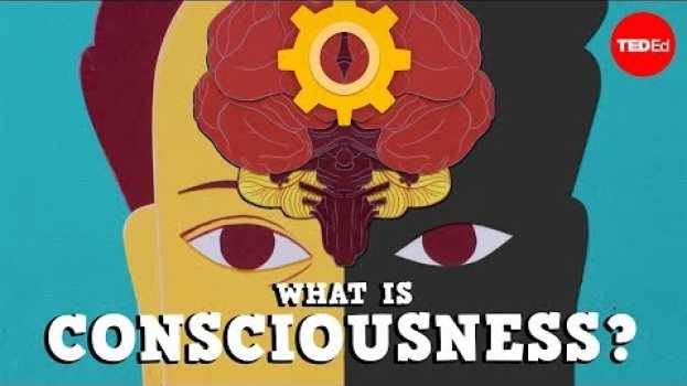 Video What is consciousness? - Michael S. A. Graziano en français