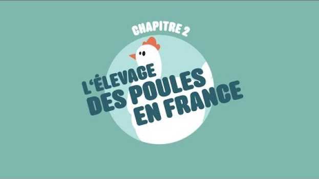 Video L214 EDUCATION - Nourrir l'humanité #2 : L'élevage des poules en France / (dessin animé) em Portuguese