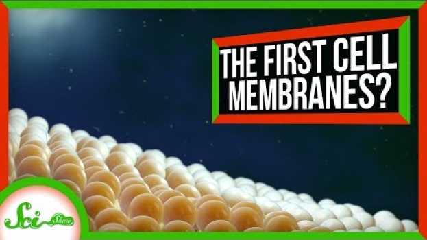 Video How Cells Got Their Membranes (Maybe) | SciShow News na Polish