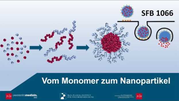 Video SFB 1066: Nanopartikel – Der Weg vom Baustein zum Wirkstofftransportsystem en français