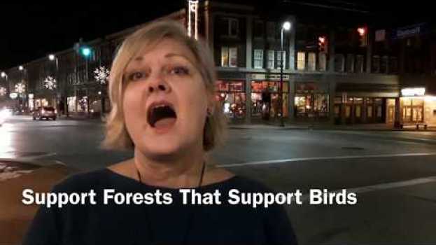 Video Support Forests That Support Birds in English