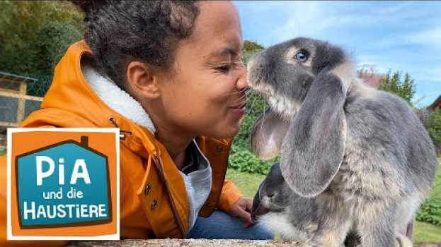 Video Widderkaninchen | Information für Kinder | Pia und die Haustiere en français