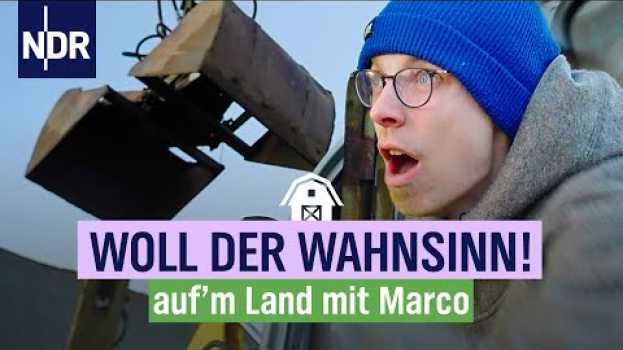 Video Alltag in Teplitz - Zwischen Bau-Chaos und Bettdecken | Folge 7 | NDR auf'm Land in English