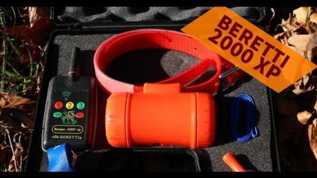 Video Beretti 2000xp con radiocomando, il beeper più usato dai beccacciai en français