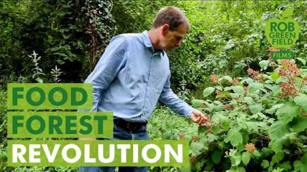 Видео The Food Forest Movement is Spreading Across Europe! на русском