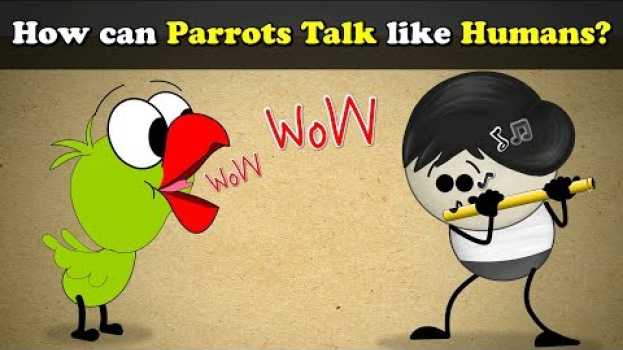 Video How can Parrots Talk like Humans? + more videos | #aumsum #kids #science #education #children em Portuguese