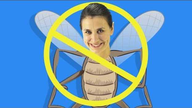 Video Народные средства от комаров, которые помогут вам выжить на природе na Polish