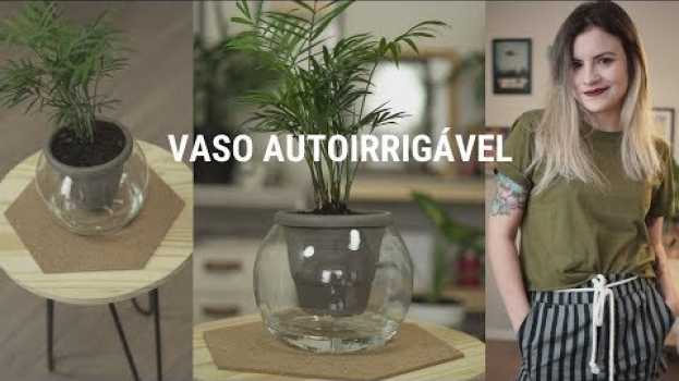 Video COMO FAZER VASO AUTOIRRIGÁVEL | DE APÊ NOVO en Español