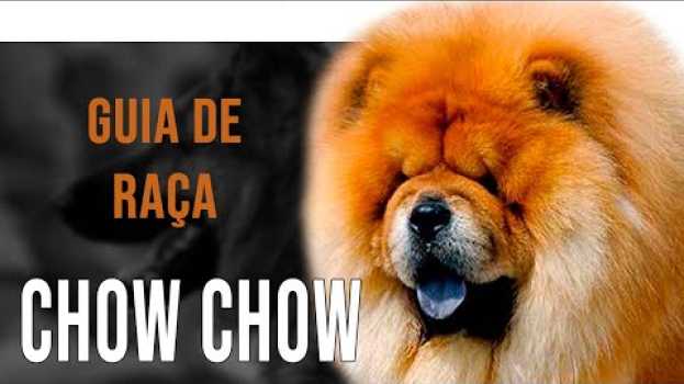 Video Chow Chow - Tudo sobre a raça en Español