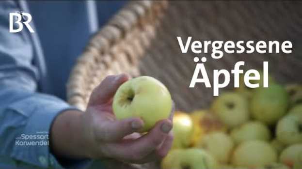 Video Apfeldetektive: Auf der Suche nach vergessenen Obstsorten | Zwischen Spessart und Karwendel | BR en Español