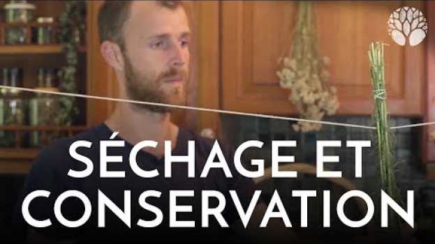 Video Séchage et conservation des plantes sauvages in English