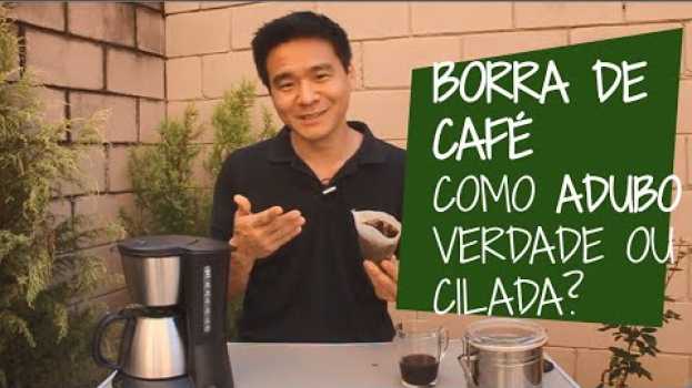 Video BORRA DE CAFÉ como ADUBO - É bom ou é cilada? en français