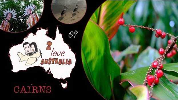 Video CAIRNS, esplosione di colore tropicale nel QUEENSLAND #Australia2love.07 documentario di viaggio en français