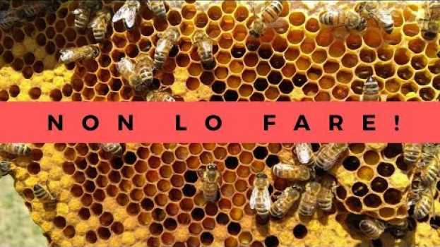 Видео NON FARE QUESTO se vuoi aiutare le api! на русском