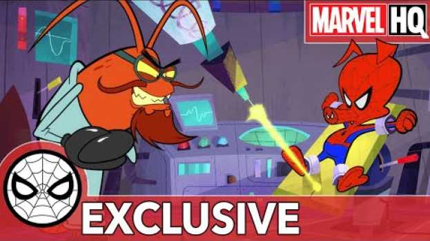 Видео Spider-Ham: Caught in a Ham | EXCLUSIVE Animated Short | Spider-Man: Into the Spider-Verse! на русском
