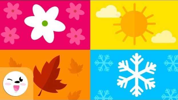 Video Les saisons de l'année pour les enfants - Printemps, Été, Automne et Hiver - Que sont les saisons ? na Polish