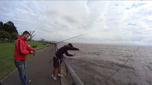 Видео Pesca de Costa, mucho pique en vicente lopez muchos peces !!! на русском