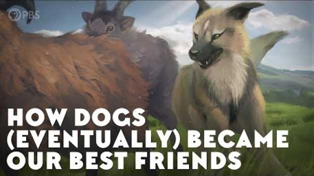 Video How Dogs (Eventually) Became Our Best Friends em Portuguese
