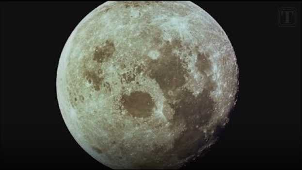 Video 50 anos do homem na Lua na Polish
