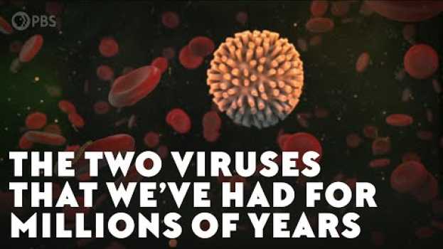 Video The Two Viruses That We’ve Had For Millions of Years in English