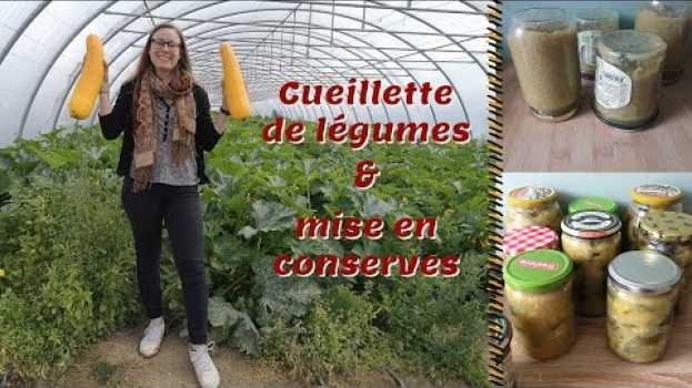 Video Comme au bon vieux temps | Cueillette de légumes à la ferme & mise en conserves em Portuguese