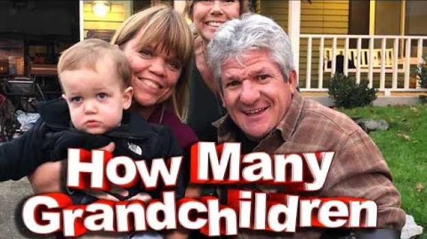 Video ‘Little People, Big World’: How Many Grandchildren Do Matt and Amy Roloff Have? em Portuguese