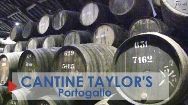 Video Alla scoperta delle Cantine Taylor's in Portogallo [Português-English] na Polish