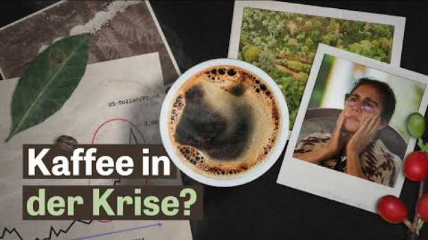 Video Warum Kaffee teurer werden muss oder schlechter schmecken wird na Polish