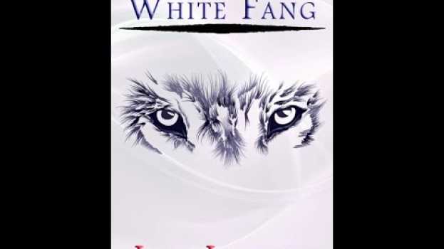 Video Plot summary, “White Fang” by Jack London in 3 Minutes - Book Review en français