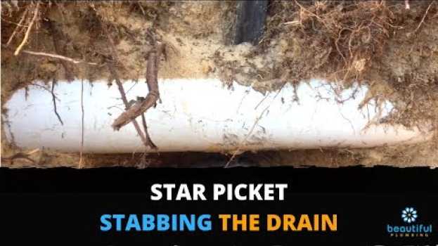 Video Stabbed by Star Picket: You Need to See This Blocked Drain en français