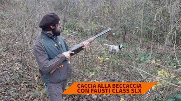 Video Caccia alla beccaccia con Fausti Class SLX em Portuguese