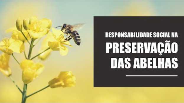Video [EDUCAÇÃO AMBIENTAL] Preservação das Abelhas en français