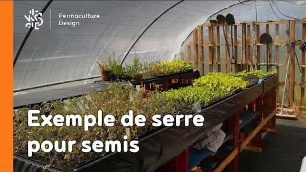 Video Un exemple de serre pour semis en Español