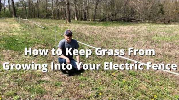 Video How to Keep Grass From Growing Into Your Electric Fence en français
