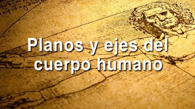 Video REDA:   Las articulaciones del cuerpo humano  -  Planos y ejes del cuerpo humano em Portuguese