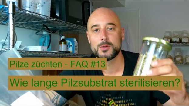 Video Pilze züchten - Wie lange sollte man Pilzsubstrat sterilisieren / autoklavieren? Pilzzucht FAQ #13 su italiano