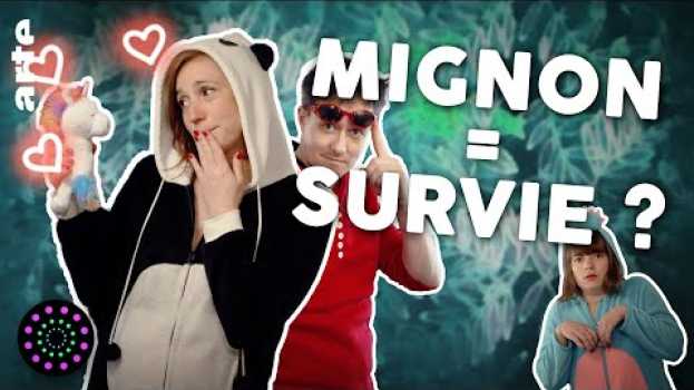 Video Faut-il être mignon pour survivre ? | Zeste de Science & Hygiène Mentale | Le Vortex #16 na Polish