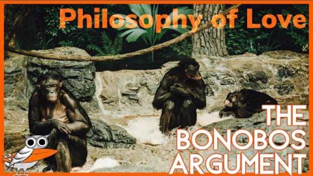 Video Should we do it like the Discovery Channel? The Bonobos Argument en français