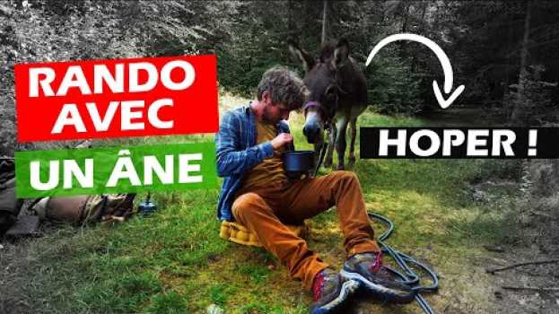 Видео Je fais une randonnée avec un âne et je découvre un village en bois - Ep8-S1 на русском