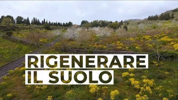 Video Rigenerare il SUOLO, la VITA porta la VITA | Coltivare l'orto su italiano