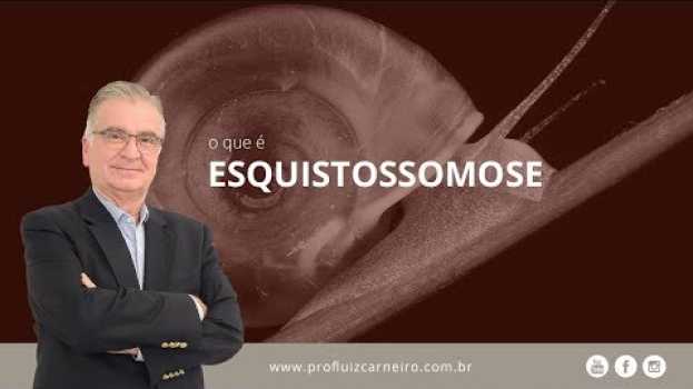 Video Esquistossomose ainda existe! | Prof. Dr. Luiz Carneiro CRM 22.761 in Deutsch