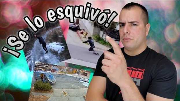 Video Gente rápida | 3+ em Portuguese