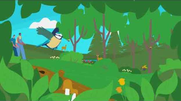 Video Artenvielfalt und Nachhaltige Entwicklung [Erklärvideo für die Grundschule] in English