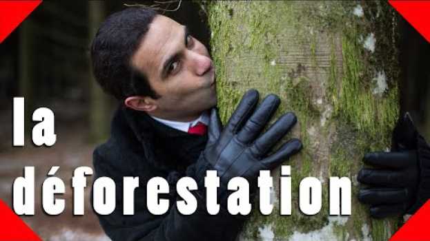 Video AMI DES LOBBIES #1 - La déforestation in English
