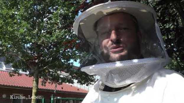Video Was haben Kirche und Bienen gemeinsam, Herr Pfarrer? su italiano