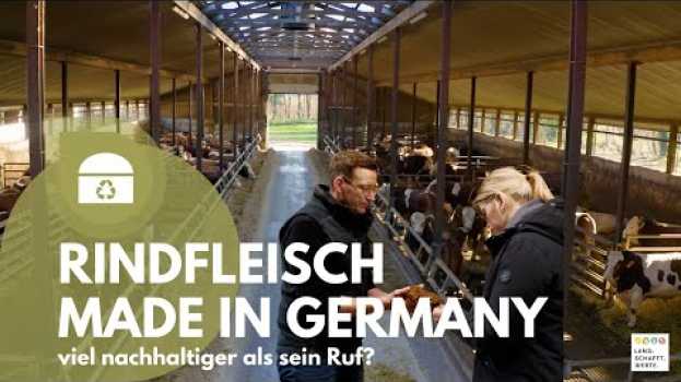 Video Rindfleisch - Made in Germany - viel nachhaltiger als sein Ruf? en français