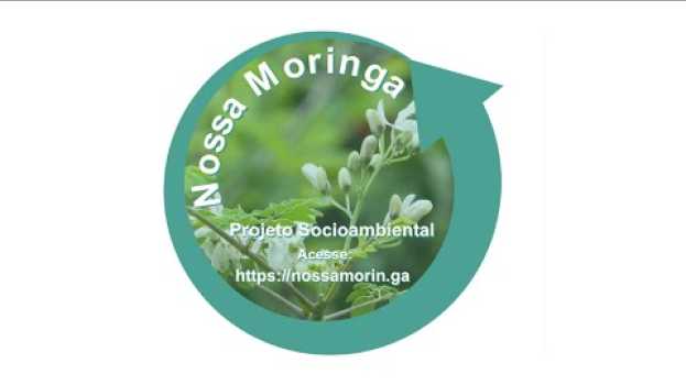 Video Moringa Oleífera apresenta Pesquisa Feita pela Embrapa Pantanal na Polish